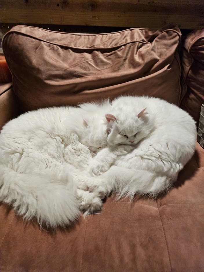 Cozy Moments Journal