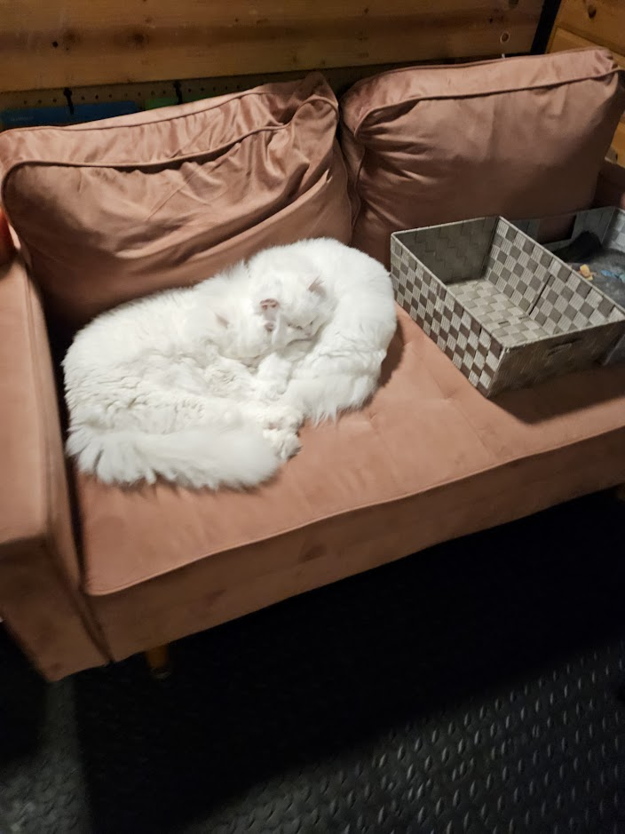 Cozy Club Collector Bundle